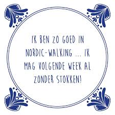 nordic walking 1